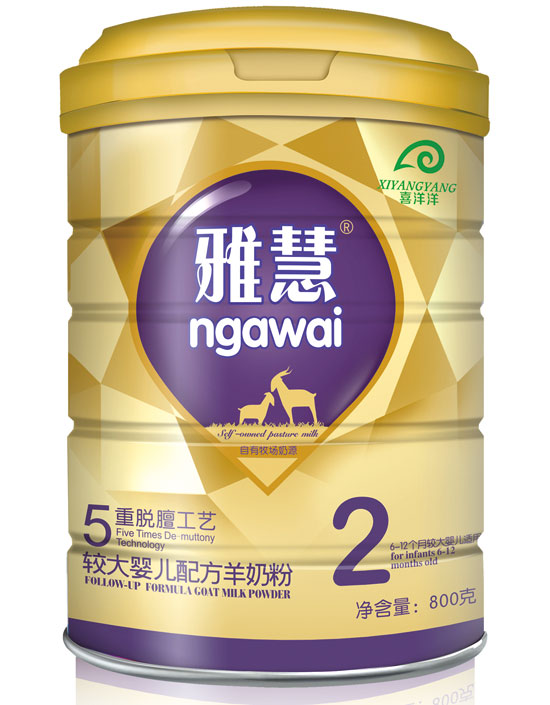 �Ż�5�������ϴ�Ӥ���䷽���̷�800��