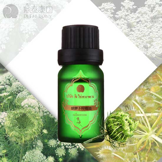 鼎泰康园胡萝卜籽精油